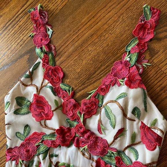 LAST CHANCE: Alice + Olivia Embroidered Red Floral V-Neck Gown - Size 0 - Picture 5 of 16